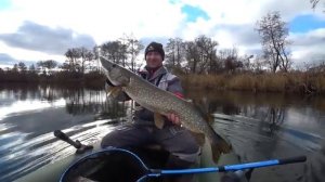 ВОТ ЭТО ПАРОВОЗ, ЕЕ НЕ ОСТАНОВИТЬ. Сменил приманку и поперло! Рыбалка на спиннинг осенью