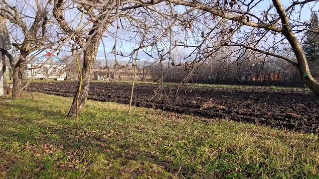 ГРИБНАЯ ПОРА ОСЕНЬ В ДЕРЕВНЕ