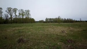 16. Металлокоп с Quest X5. Покатушки на трицикле. Поиск переезда через речку.