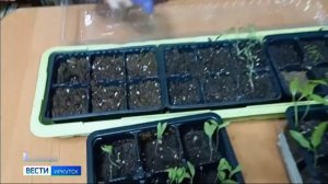 32 года в профессии. Учитель начальных классов из Иркутска стала лауреатом Всероссийской детской пре