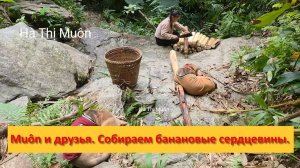 Muôn и друзья из Вьетнама. Собираем и несём на рынок банановые сердцевины.