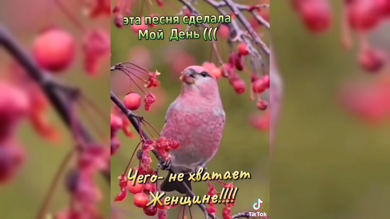 "Чего не хватает женщине". Эта песня сделала мой день.