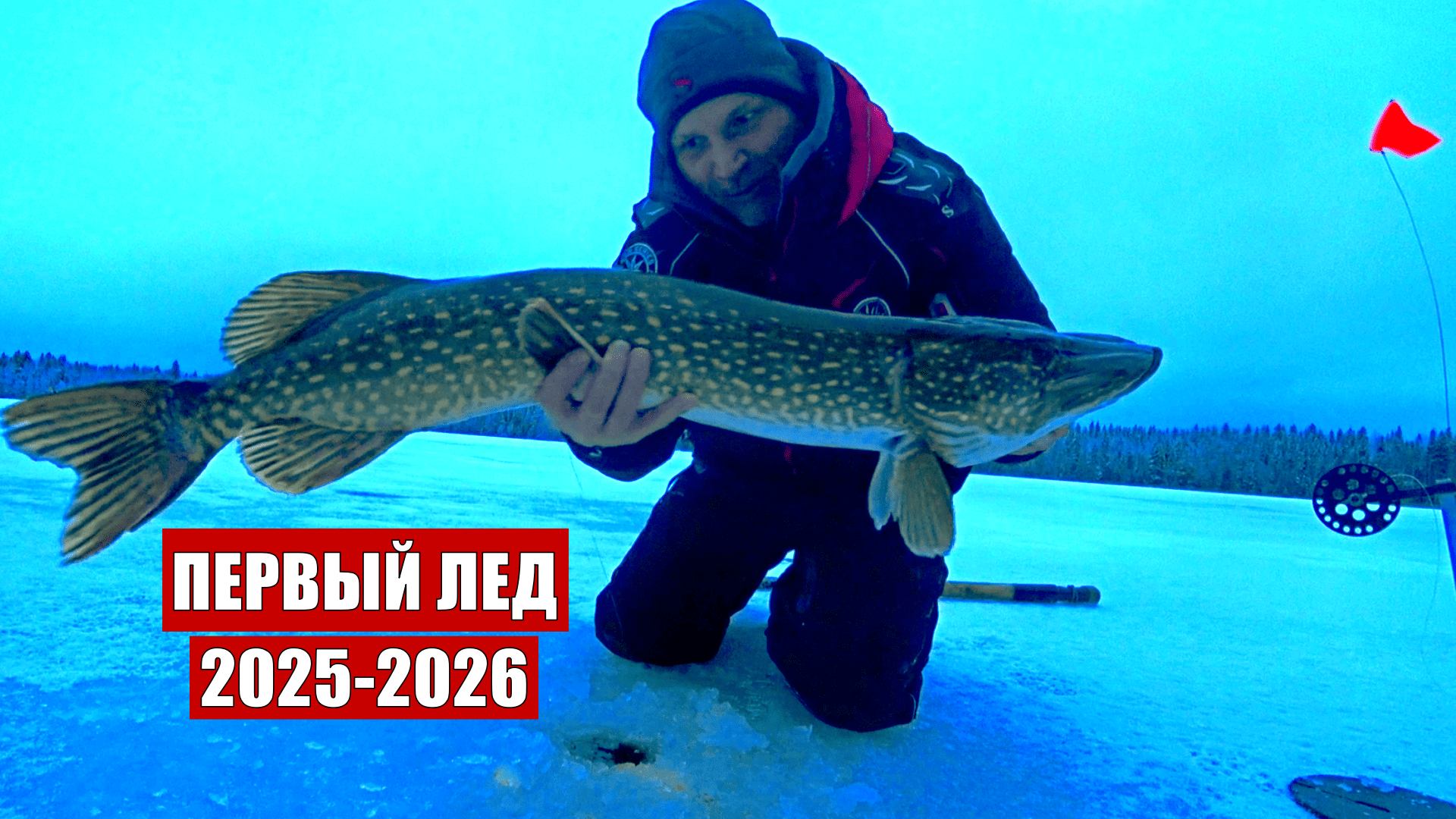 Оставил жерлицы на ночь и обалдел! Такой рыбалки не ожидал! Первый лед трофейная зимняя рыбалка 2025