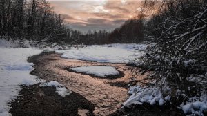 Последний день осени.    Denis Stelmakh, Icelandic Elephants.