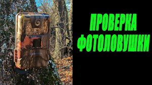 Проверка фотоловушки, Лосиха с лосятами, маленькая косуля. Солонец / ФОТОЛОВУШКА в лесу