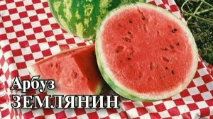 как зделать красивые скаченые обои на WINDOWS 11