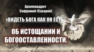 Архимандрит Софроний (Сахаров) - ВИДЕТЬ БОГА КАК ОН ЕСТЬ. Глава 11. Об истощании