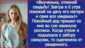 Внучка, отменяй свадьбу! Поезжай на дачу его матери и все увидишь! Покойный дед пришел ко мне во сне