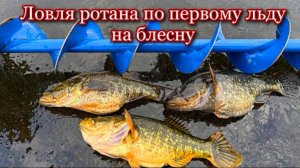 Ловля ротана по первому льду на блесну