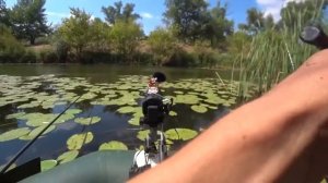 ВМЕСТО КАРАСЯ... ОНО СХВАТИЛО И ПОЕХАЛО !!!  РЫБАЛКА НА ПОПЛАВОК.