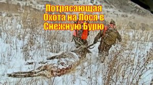 Потрясающая Охота на Лося в Снежную Бурю в Монтане