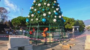 Прогулка к морю Собаки . Набережная .Ёлки. Массандровский пляж.Жизнь на море/ Ялта