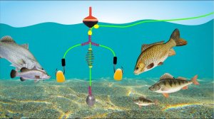 Рыболовные снасти Секрет Рыбака - Лучшие рыболовные снасти бесплатно! Рыболовные навыки для рыбалки