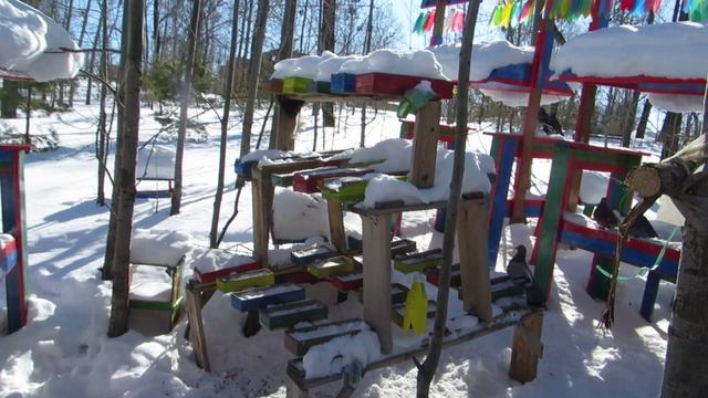 ГОЛУБИ  ПАРК НА НЕФТЯНИКЕ ХАБАРОВСК 15 февраля 2025  (Ролик+Слайд)