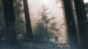 Мягкое засыпание без усилий (плейлист расслабляющей музыки)