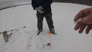 ВОТ ЭТО БОРЬБА  5 дней ЖИВУ в ПАЛАТКЕ  Весенний ЖОР ЩУКИ 2025