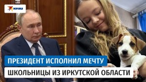 «Всегда мечтала о собаке»: Путин подарил щенка девочке из Иркутской области