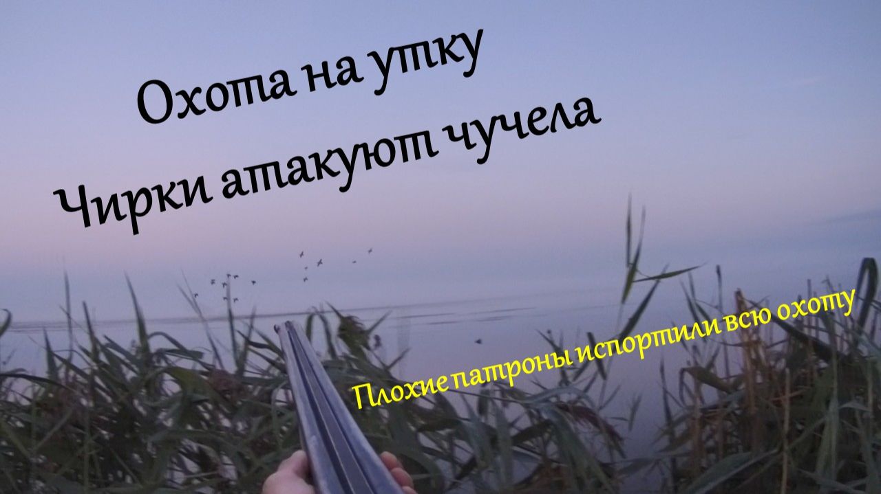 Охота на утку. Чирки атакуют. Плохие патроны испортили охоту смотреть онлайн