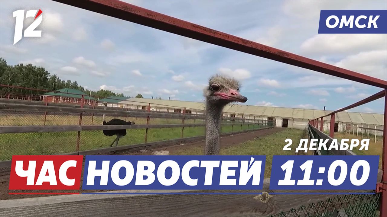 Озеро Большое привлекает туристов / Миллионы на ремонт / Рост заболеваемости ОРВИ. Новости Омска