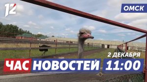 Озеро Большое привлекает туристов / Миллионы на ремонт / Рост заболеваемости ОРВИ. Новости Омска