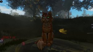 Приветка Огнезвезда! | Озвучка Ржавозвезда.