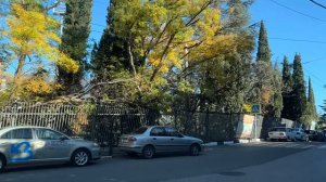 Ялта. Красноармейская ул., спуск от ост.Хоздвор до ул. Гоголя. 30.10.2025. Крым. Crimea. Yalta.