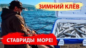 Ставрида клюёт как из пулемёта! Рыбалка зимой в море на ставриду. Кабардинка. Зимняя рыбалка.