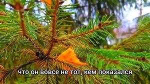 Выйдя из душа Алина услышала телефонный разговор мужа с любовницей.Она придумала им месть...