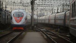 В Ленинградской области остановился «Сапсан», следовавший в Москву