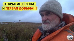 Осенняя охота на бобра с капканами. Проверка капканов на бобра