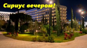 Сириус вечером! 2025