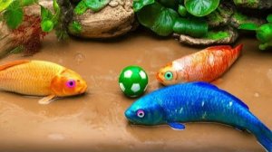 Увлекательная борьба на выживание, красочная вечеринка ди-джеев из рыбы Кои с сомом и угрем