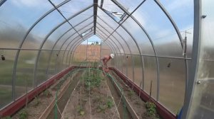 6 соток 19 мая 2021 год. . За продуктами в магазин на колесах. Рассадила огурцы