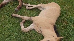 035306b6-4b26-44e2-9102-de541693d48a