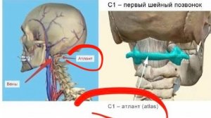 👆 3I Атлас ⬆️ Поднимите головы вверх! 🆙 Избавление/Восхищение приближается! 🕊️