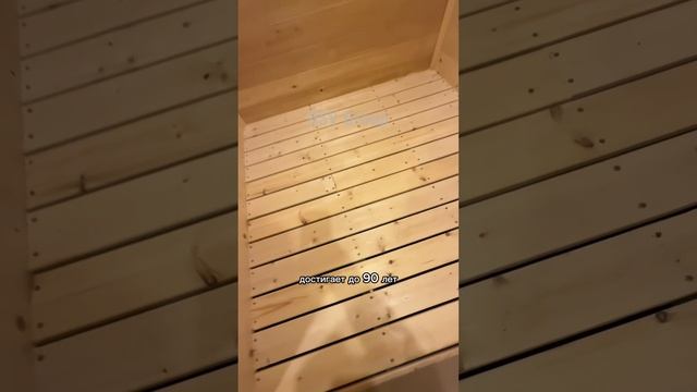 Каркасный дом со встроенной баней 4.65.32.5м от компании DSV Group