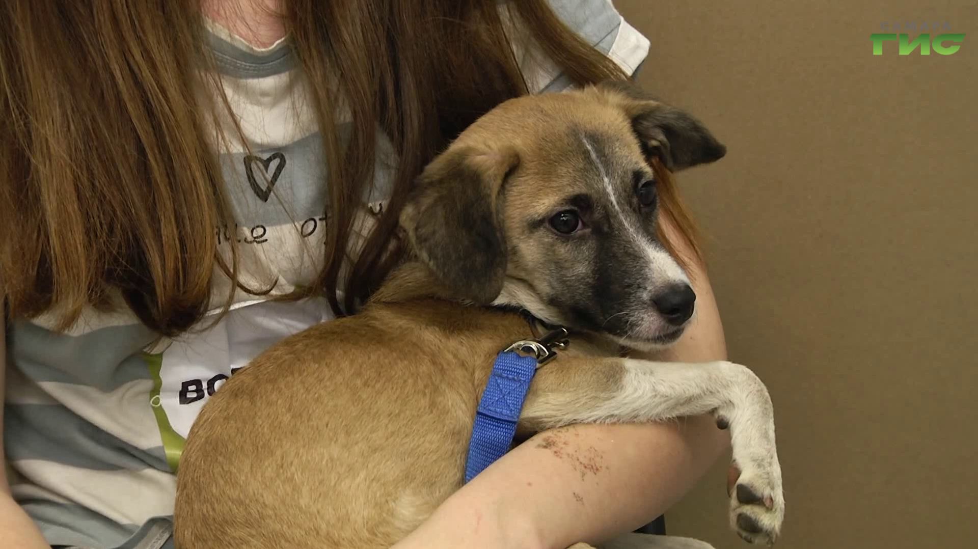 "Фестиваль "Друг человека" / "Специальный репортаж" от 02.12.2025