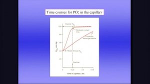 West 7 Газообмен в легких 1