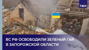 ВС РФ освободили Зеленый Гай в Запорожской области