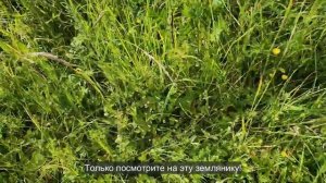 Ep.285 Community Building (Russian Subtitles)