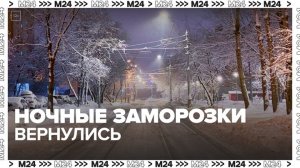 Ночные заморозки вернулись в Москву - Москва 24