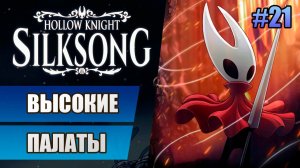 21 Высокие палаты // Прохождение Hollow Knight: Silksong