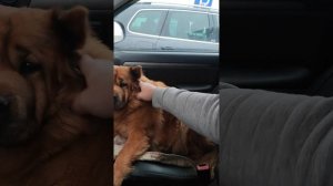 королевишна Рита приехала