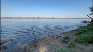 Сазаны Утаскивали Спиннинги! Рыбалка в Астрахани Караагаш.