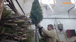 #ЁлкуКаждому: мэрия Магадана  запускает праздничный конкурс