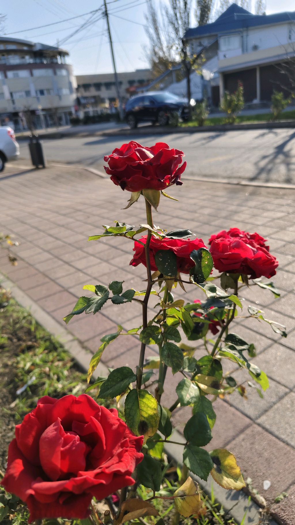 Первый раз в эфир