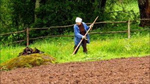 Травы наросло