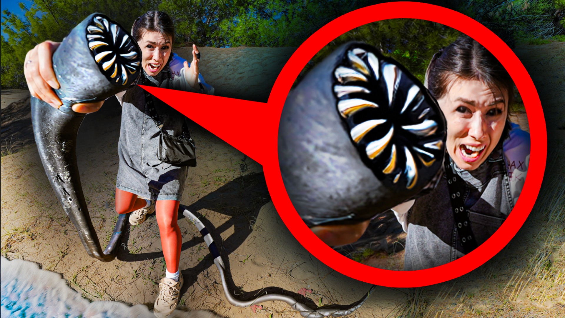 ОНО НАПАЛО - ЧЕРВЬ ПОЖИРАТЕЛЬ на ПЛЯЖЕ в ПЕСКЕ