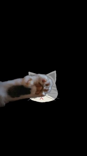 кот анимация смотреть онлайн