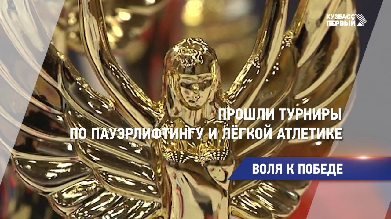 Воля к победе